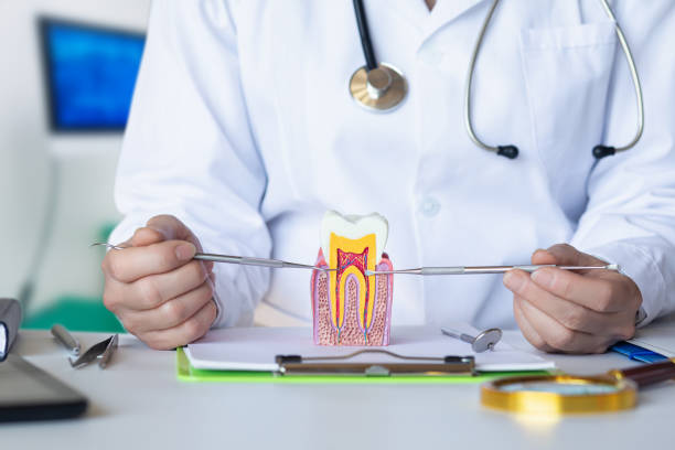 Best Emergency Root Canal Treatment in West Wyomissing, PA